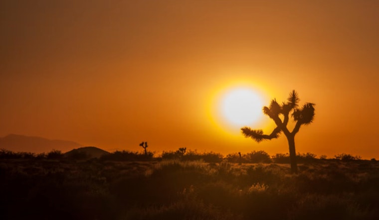Las Vegas and Mojave Desert on High Alert as Intense Heat Wave Expected to Shatter Records