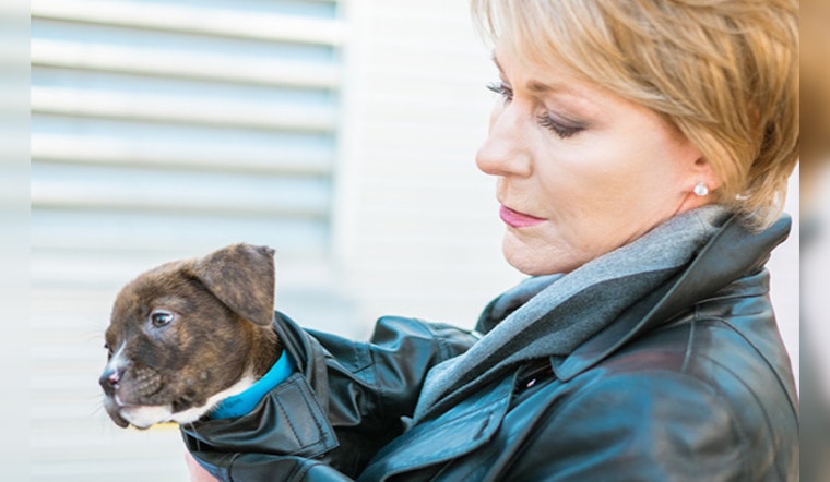 Las Vegas Enacts Mandatory Microchipping for Cats and Dogs Starting August 1