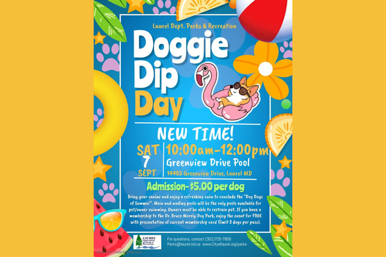 Laurel's Greenview Drive Pool to Host Doggie Dip Day for Pups and Owners Alike