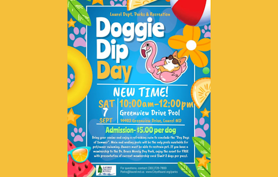 Laurel's Greenview Drive Pool to Host Doggie Dip Day for Pups and Owners Alike