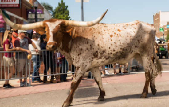 Lewisville Invites Locals to Saddle Up for PBR-Themed Cattle Drive Parade and Veterans Salute