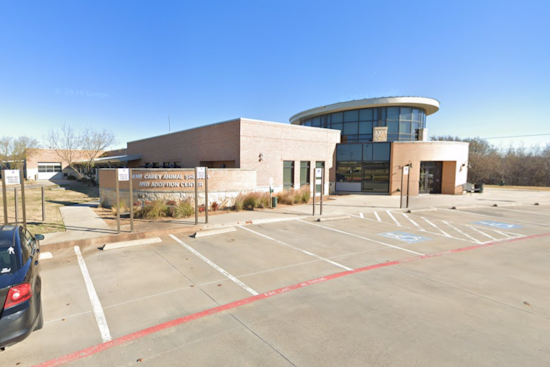 Lewisville's Gene Carey Animal Shelter Joins Nationwide 'Clear the Shelters' Campaign with Fee-Waived Adoptions