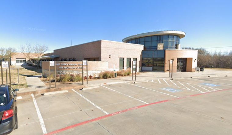 Lewisville's Gene Carey Animal Shelter Joins Nationwide 'Clear the Shelters' Campaign with Fee-Waived Adoptions