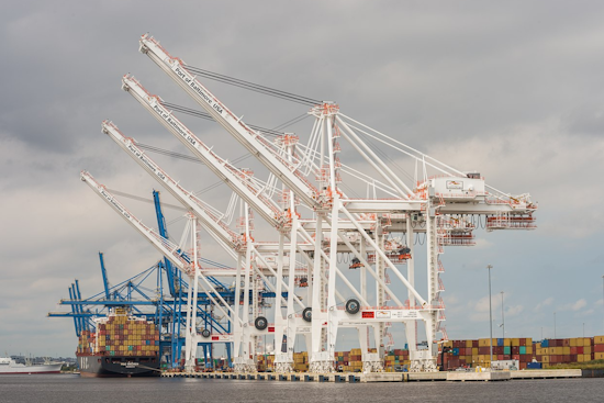 Liberia-Flagged Cargo Ship Bellavia Briefly Loses Power Departing Port of Baltimore, Navigates Back Safely Amid Safety Concerns