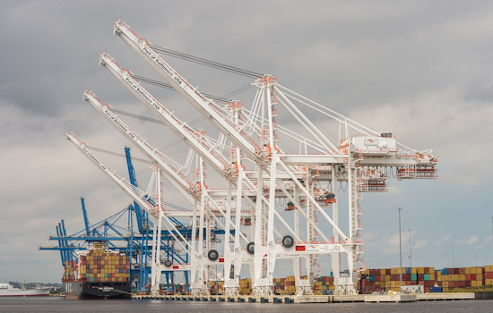 Liberia-Flagged Cargo Ship Bellavia Briefly Loses Power Departing Port of Baltimore, Navigates Back Safely Amid Safety Concerns