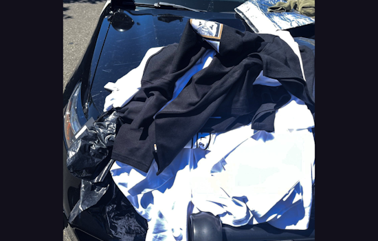 Livermore Police Nab Suspected Thief With Stolen Goods Valued Over $6,000 at San Francisco Premium Outlets
