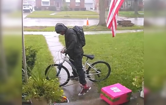 Livonia Police Seek Public Help to Identify Suspected Porch Pirate Captured on Video Amid Rainstorm