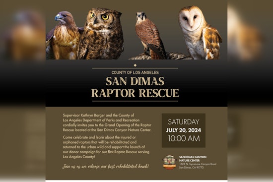 Los Angeles County Spreads Its Wings with New Raptor Rescue Center in San Dimas