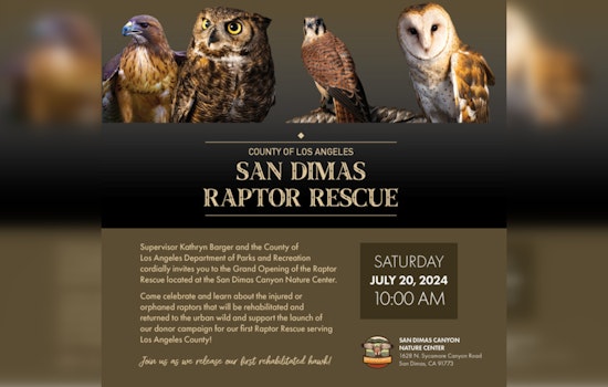 Los Angeles County Spreads Its Wings with New Raptor Rescue Center in San Dimas