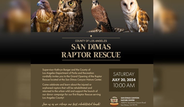 Los Angeles County Spreads Its Wings with New Raptor Rescue Center in San Dimas