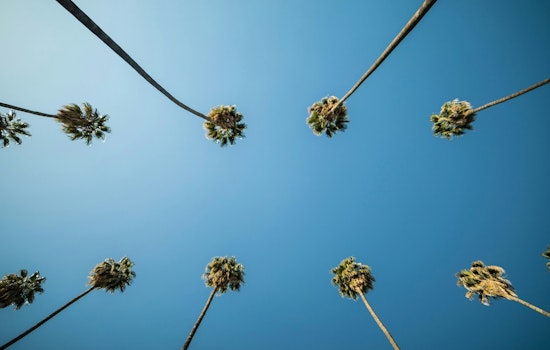 Los Angeles Set for Sunny Skies and Warm Temperatures This Week