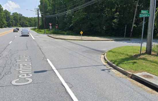 Man Identified as Richard Schulze Dies After Vehicle Strikes Tree in Edgewater Crash