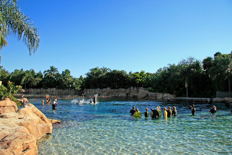 Man in Critical Condition After Being Found Unresponsive at Discovery Cove in Orlando
