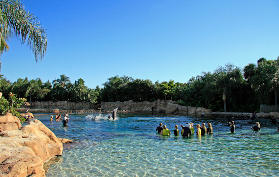 Man in Critical Condition After Being Found Unresponsive at Discovery Cove in Orlando