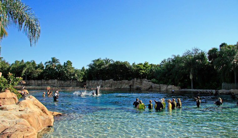 Man in Critical Condition After Being Found Unresponsive at Discovery Cove in Orlando