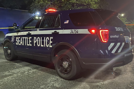 Man in Serious Condition After Late-Night Shooting in Seattle's Mount Baker Neighborhood