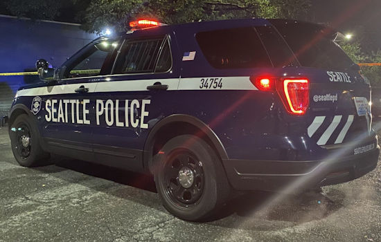 Man in Serious Condition After Late-Night Shooting in Seattle's Mount Baker Neighborhood