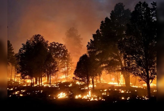 Managed Ignitions Set to Control Lockett Fire's Spread, Grand Canyon Area Affected