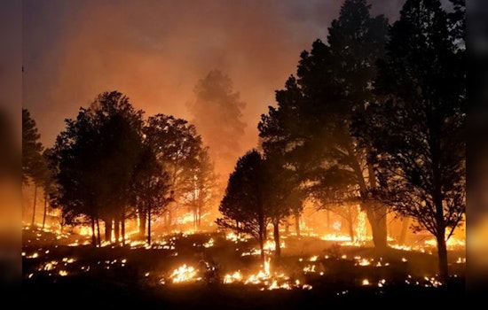 Managed Ignitions Set to Control Lockett Fire's Spread, Grand Canyon Area Affected