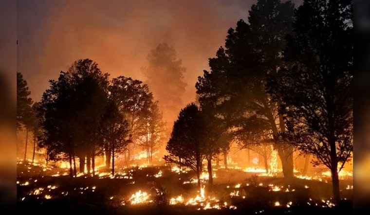 Managed Ignitions Set to Control Lockett Fire's Spread, Grand Canyon