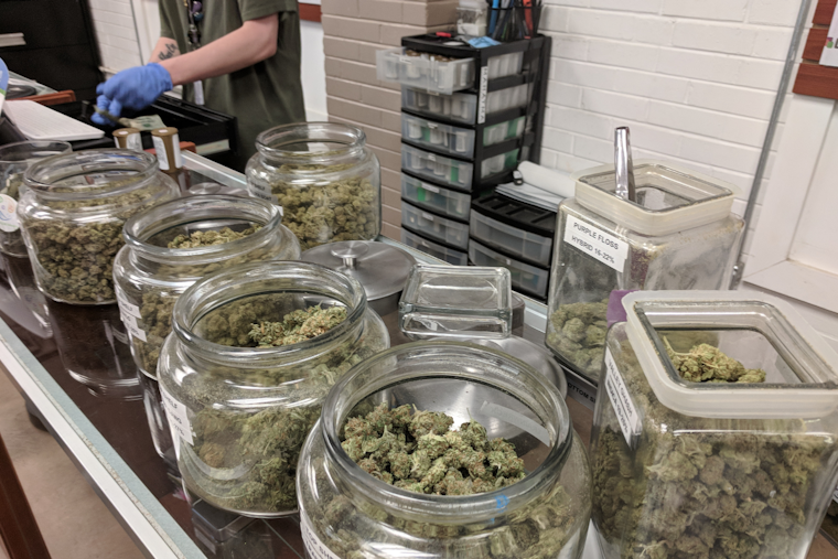 Maryland's Cannabis Market Hits $1 Billion in Sales, Bolstering Economy and Social Equity