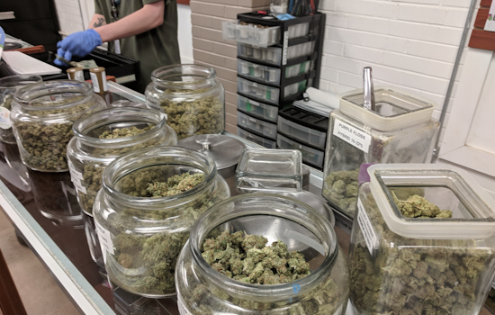 Maryland's Cannabis Market Hits $1 Billion in Sales, Bolstering Economy and Social Equity