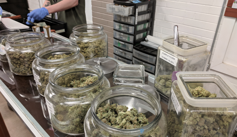 Maryland's Cannabis Market Hits $1 Billion in Sales, Bolstering Economy and Social Equity