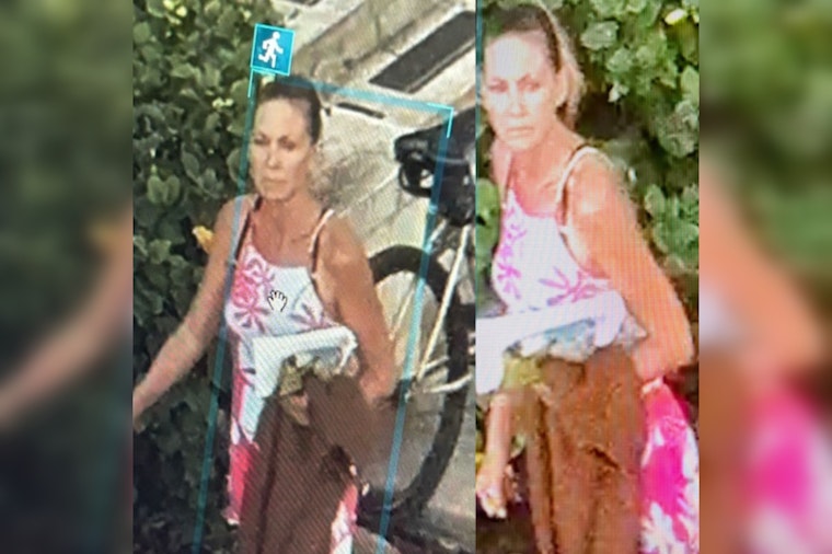 Maui Police Seek Public's Help to Identify Suspect in Wailuku Courthouse Burglary and Attempted Arson