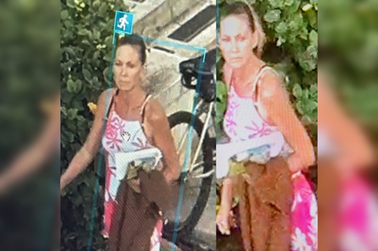Maui Police Seek Public's Help to Identify Suspect in Wailuku Courthouse Burglary and Attempted Arson