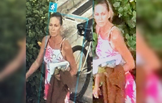 Maui Police Seek Public's Help to Identify Suspect in Wailuku Courthouse Burglary and Attempted Arson