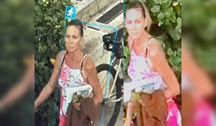 Maui Police Seek Public's Help to Identify Suspect in Wailuku Courthouse Burglary and Attempted Arson