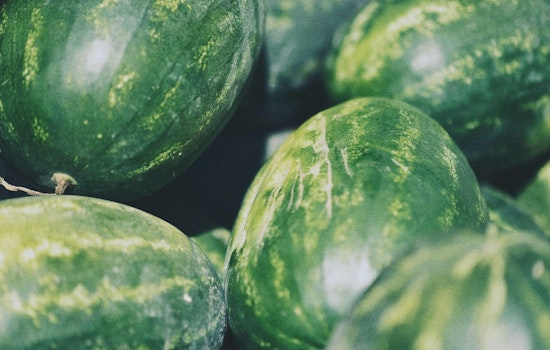 McDade’s Annual Watermelon Festival Brings Juicy Delight and Healthy Hydration to Texans