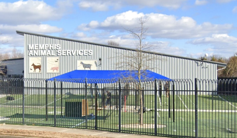 Memphis Animal Services Names Mary Claire Borys Interim Director Amid Investigation of Former Leader Ty Coleman