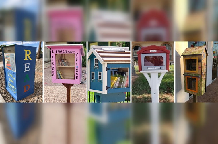 Mesa's Main Library to Augment Local Little Free Libraries with Diverse Book Selections in August