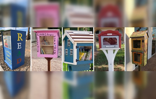 Mesa's Main Library to Augment Local Little Free Libraries with Diverse Book Selections in August