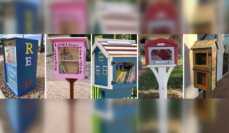Mesa's Main Library to Augment Local Little Free Libraries with Diverse Book Selections in August