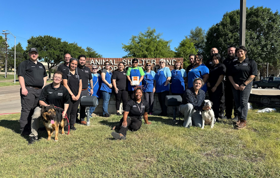 Mesquite Animal Shelter Celebrated for Exemplary 92% Save Rate by Best Friends Animal Society