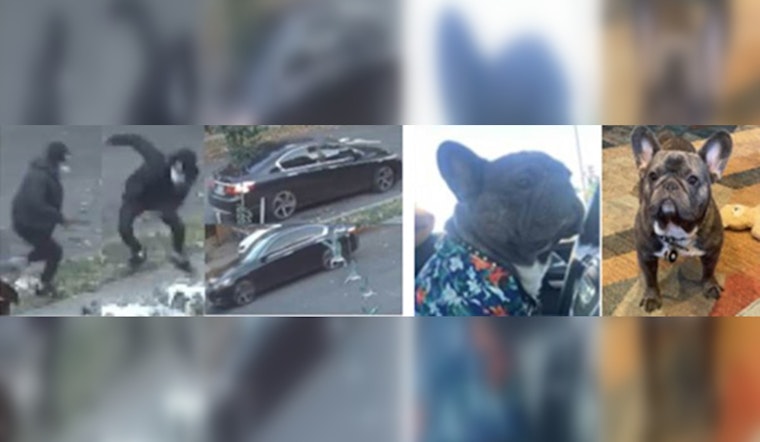 Metropolitan Police Seek Public's Assistance in Locating Suspect Accused of Armed Robbery of French Bulldog in Southeast D.C.