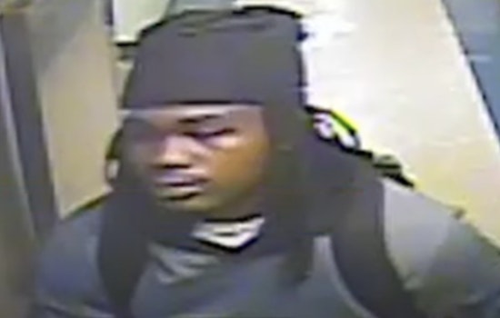 Metropolitan Police Seek Public's Help in Identifying Suspect in 15th Street Vehicle Theft