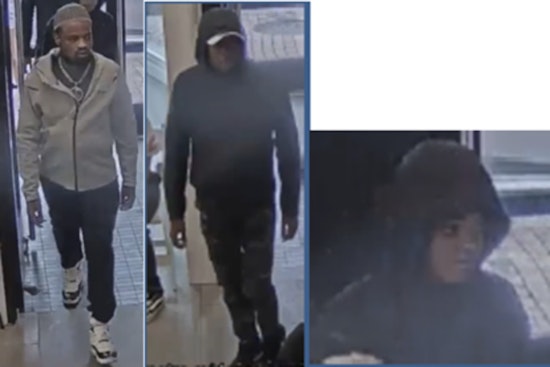 Metropolitan Police Seek Public's Help to Identify Suspects in M Street Retail Theft