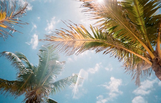 Miami Braces for Typical Summer Weather with Afternoon Thunderstorms Expected Following a Sunny Start