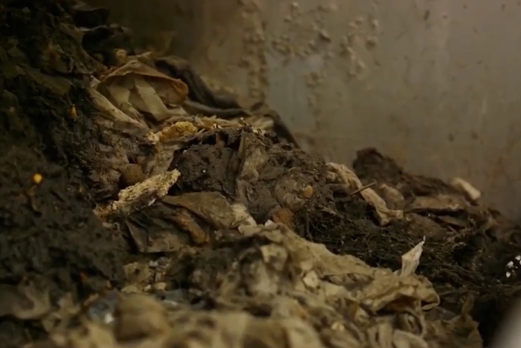 Michigan Bans "Flushable" Label on Wipes to Safeguard Sewage Systems and Save Millions