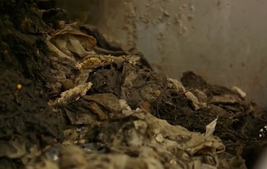 Michigan Bans "Flushable" Label on Wipes to Safeguard Sewage Systems and Save Millions