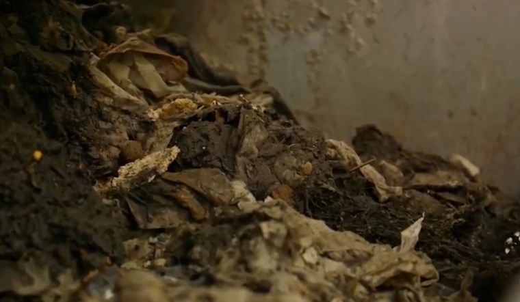 Michigan Bans "Flushable" Label on Wipes to Safeguard Sewage Systems and Save Millions