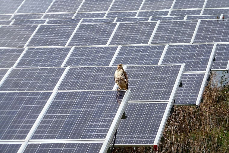Michigan Secures $129 Million EPA Grant to Expand Renewable Energy Projects