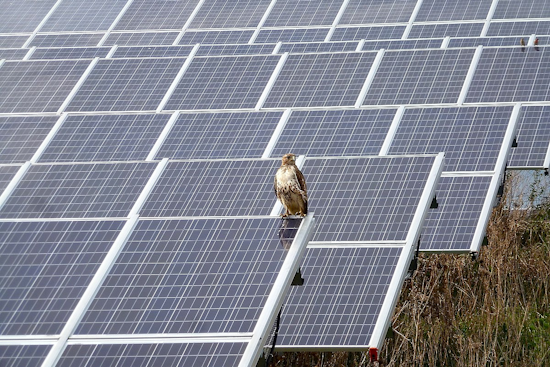 Michigan Secures $129 Million EPA Grant to Expand Renewable Energy Projects