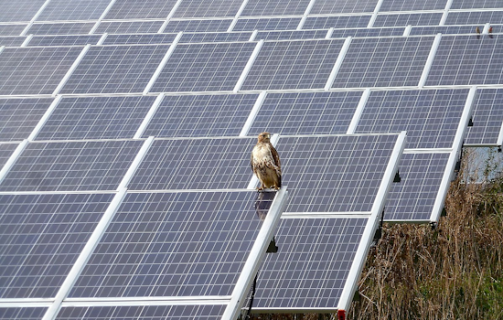 Michigan Secures $129 Million EPA Grant to Expand Renewable Energy Projects