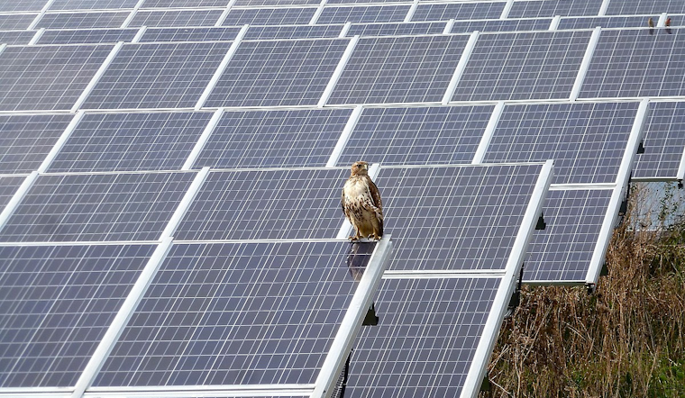 Michigan Secures $129 Million EPA Grant to Expand Renewable Energy Projects