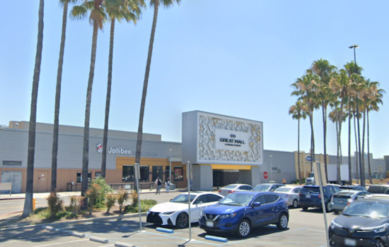 Milpitas Great Mall Theft Suspect with $100K Felony Warrant Apprehended After Police Chase