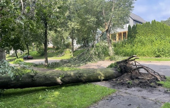 Minneapolis Reels from Storm Aftermath as Crews Tackle Downed Trees and Power Outages, Urge Use of 311 in Cleanup Efforts